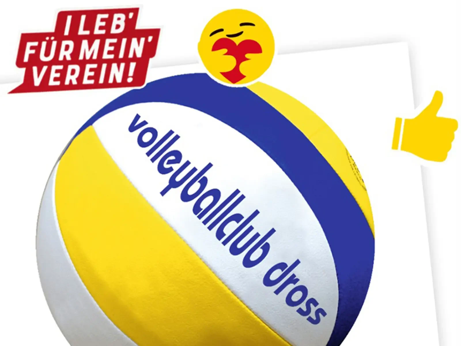 Logo der Billa Vereinsaktion