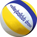 Logo VCD ohne Schatten